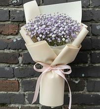 Букет цветов из:  Гипсофила в Новониколаевской