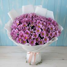 Букет цветов из:  Хризантемы #REPLACE_PRED# Новониколаевской