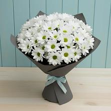 Букет цветов из:  Хризантемы #REPLACE_PRED# Новониколаевской