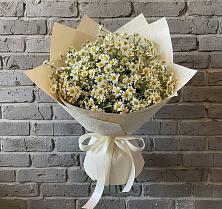 Букет цветов из:  Ромашки в Новониколаевской