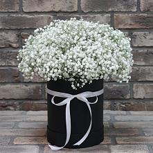 Цветочная композиция из Гипсофила в шляпной коробке в Новониколаевской