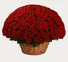 Премиум букет из: Розы в Новониколаевской