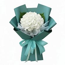 Букет цветов из:  Гортензия в Новониколаевской